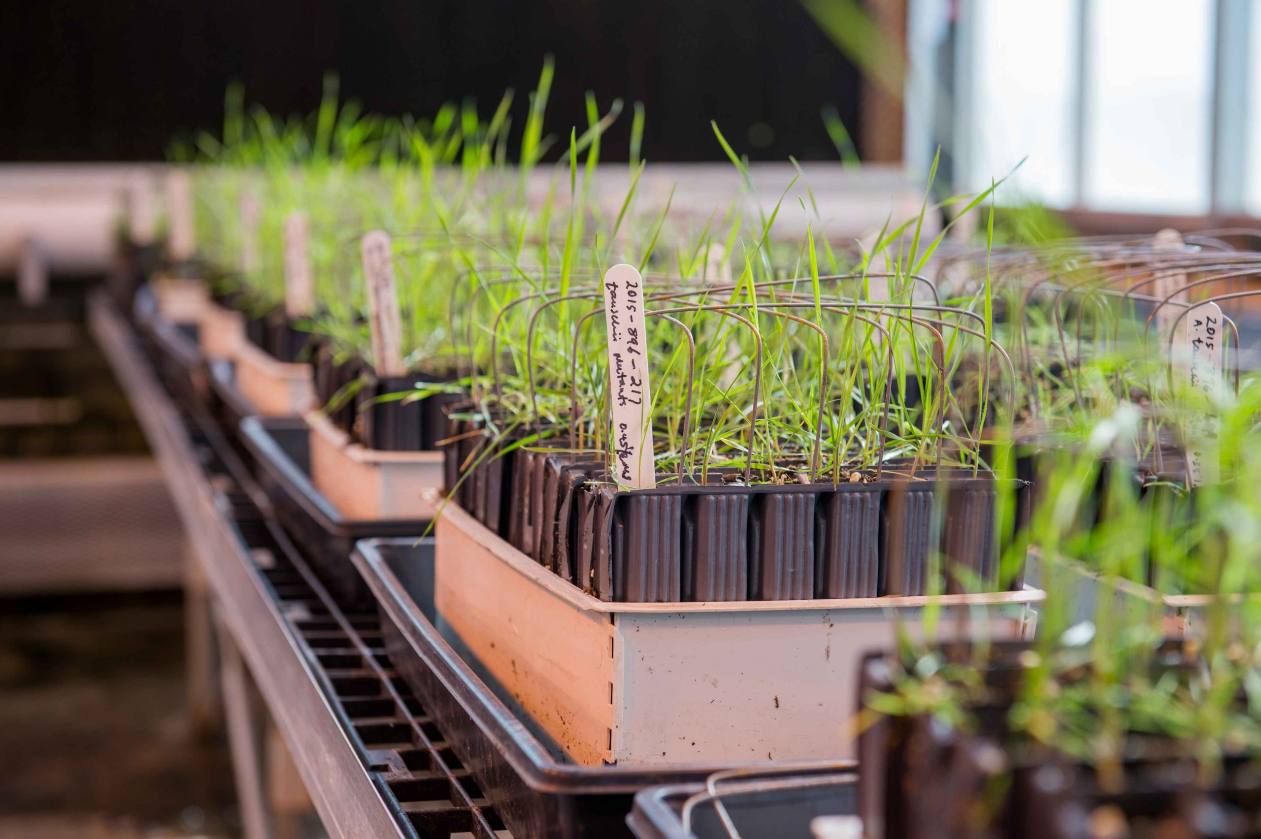 Agriculture Science