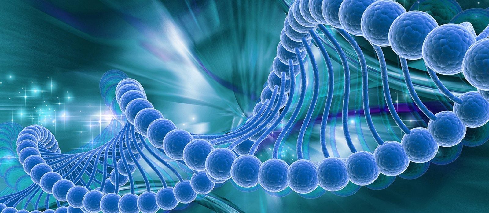 Biological and Life Science