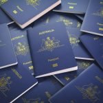 How to use a passport number to check the status of a visa online?